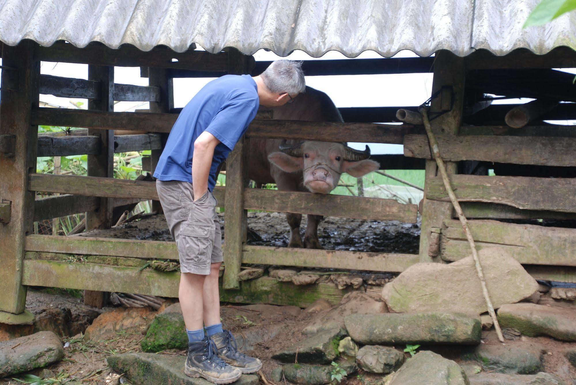 Bc Family Homestay - Hoan Kiem Lakeside Hanoi Eksteriør bilde